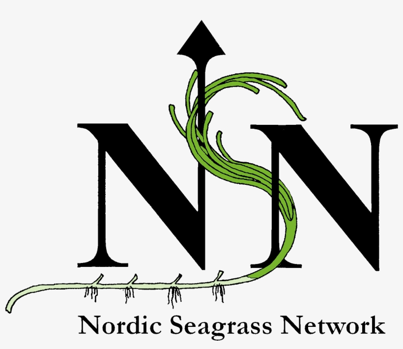 Download Nordic Seagrass Network Logo From - Nsn Logo, transparent png #5897739