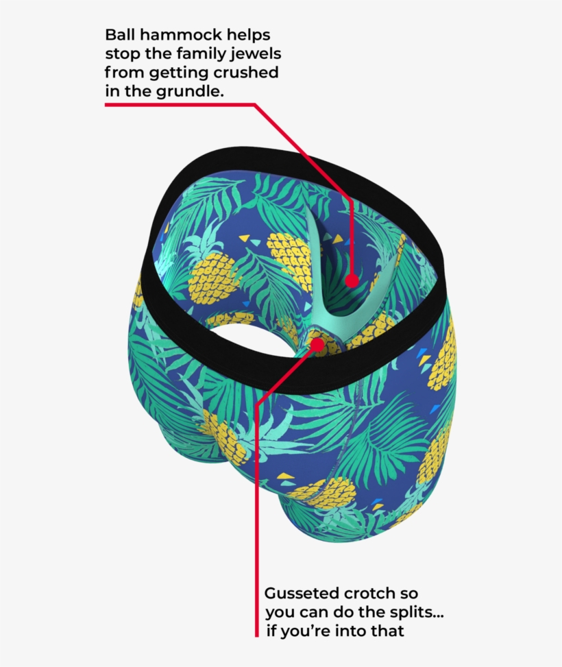 Pineapple Print Shinesty Ball Hammocks - The Giant Panda Ball Hammock Boxer Briefs | Size L, transparent png #5897740