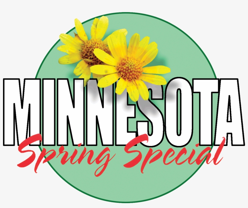 Minnesota Spring Special - House Clip Art, transparent png #5899022