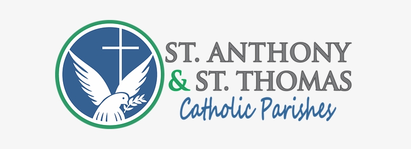 Fish Fry - Graphics, transparent png #590623