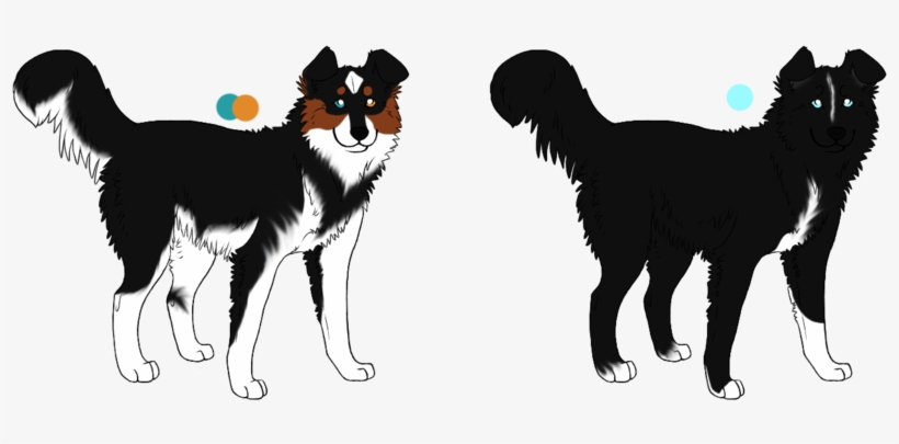 Banner Transparent Library Husky X Border Adopts - Husky X Border Collie, transparent png #591035