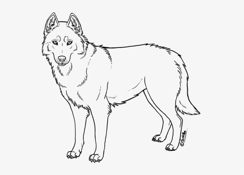 Transparent Base Husky - Outline Of A Husky, transparent png #591063