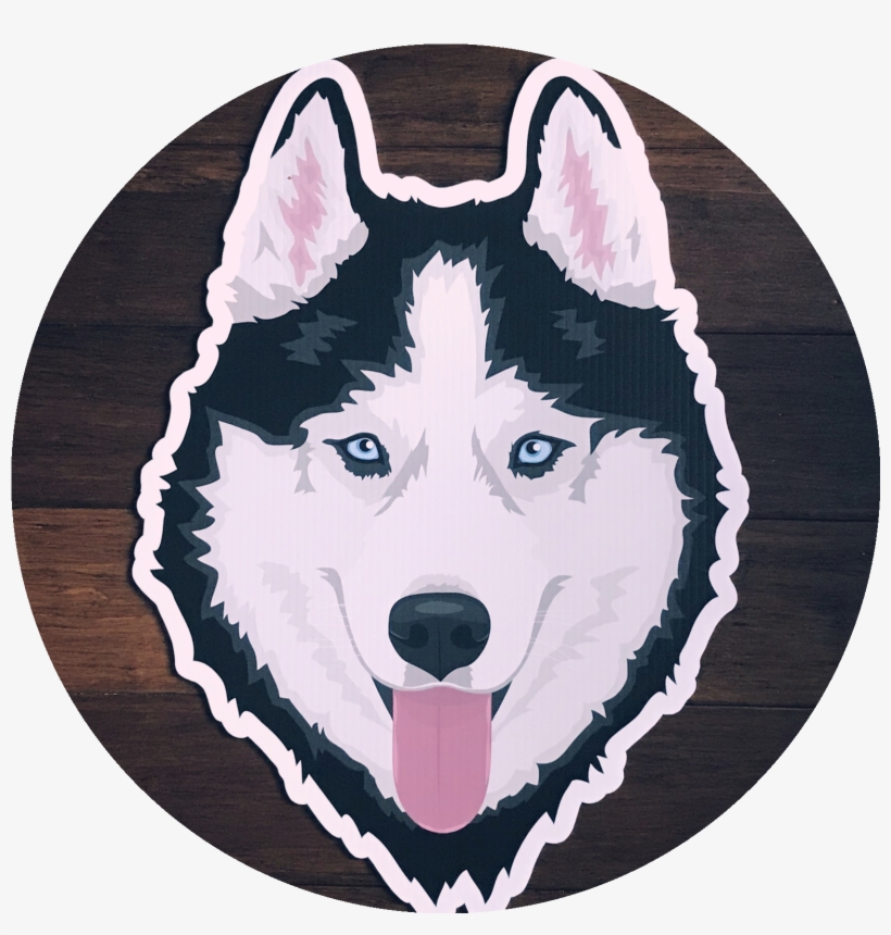 Cc 20181004 174448 - Siberian Husky, transparent png #591144