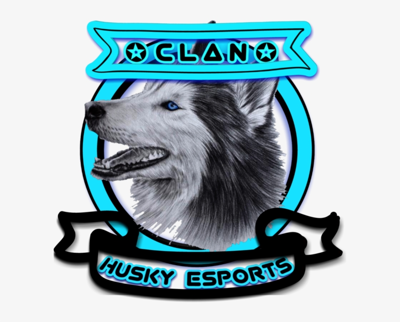 [e][h]husky Esports - Keeshond, transparent png #591167