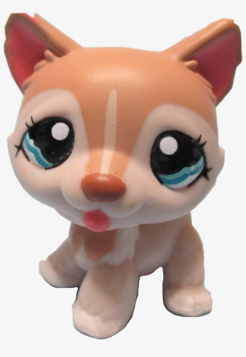 Report Abuse - Lps Husky, transparent png #591183