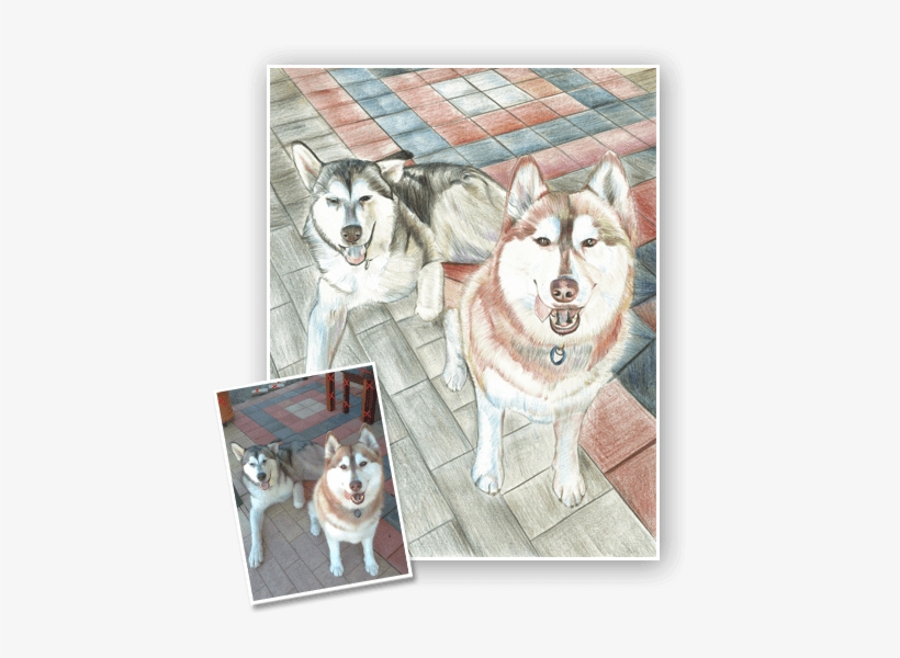 Choose Medium - Mackenzie River Husky, transparent png #591185
