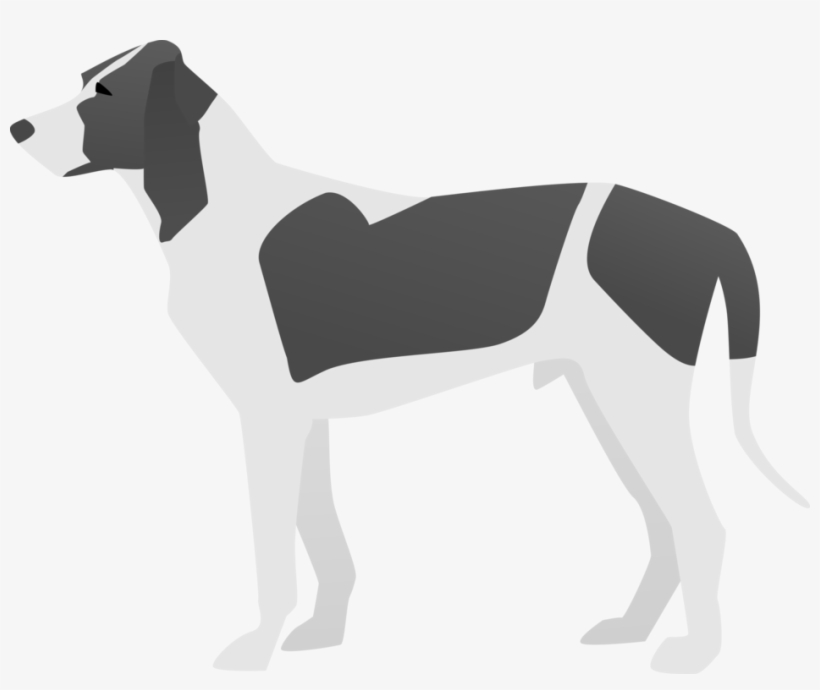 Dog Breed Italian Greyhound American Pit Bull Terrier - Dog, transparent png #591397