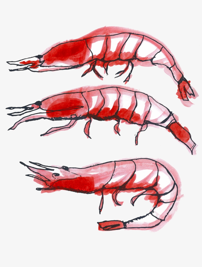 Amazon Fresh - Design, transparent png #591797