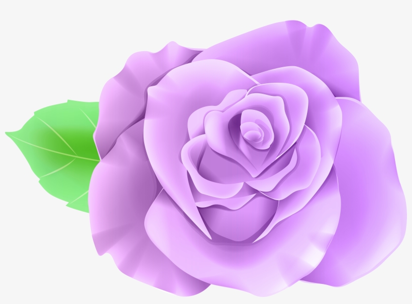 Single Rose, transparent png #592375