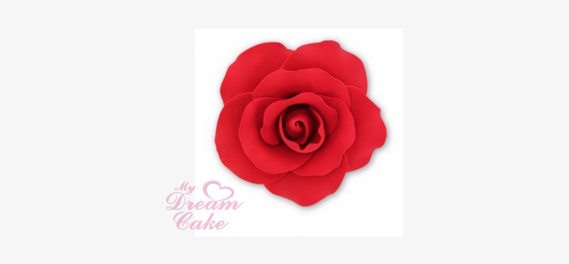 Product, transparent png #592732