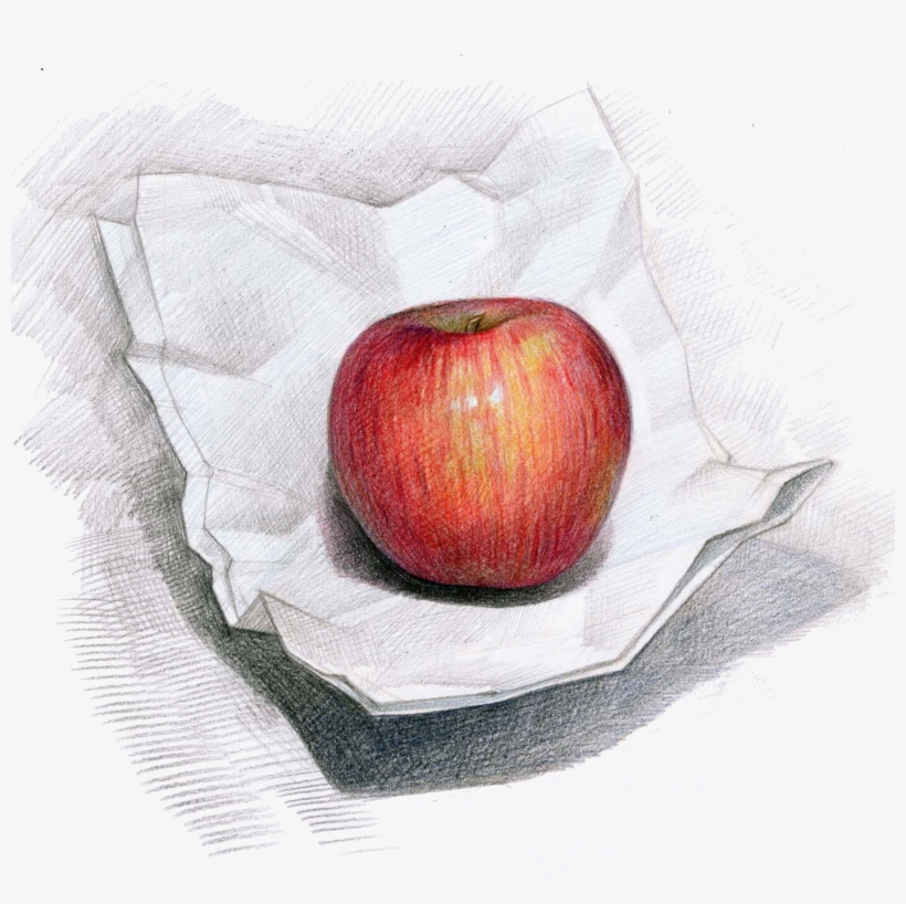 Apple Campus Colored Pencil Drawing Painting - Drawing, transparent png #592782