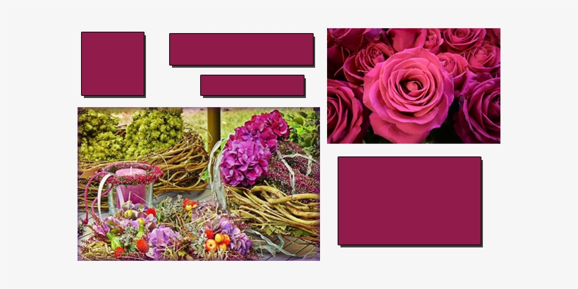 In Single-flower Arrangements, Such As An All Rose - 5-digit Number Search 3, transparent png #593095