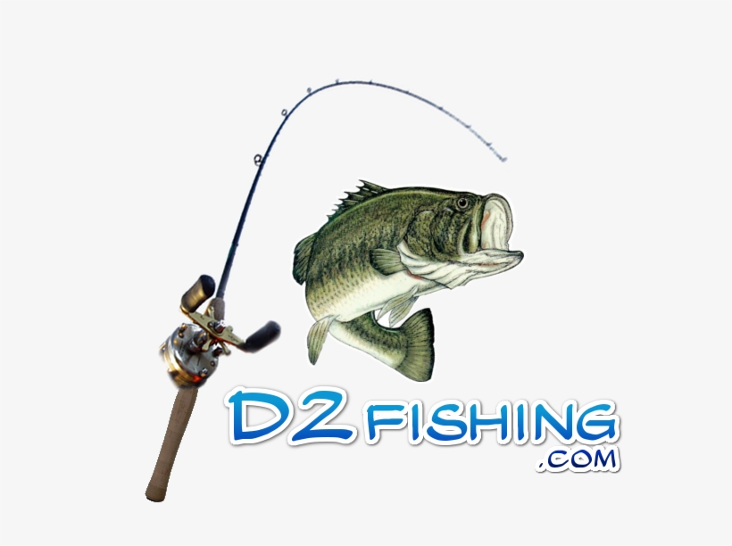 D2fishinglogo - Largemouth Bass Drawing, transparent png #594131