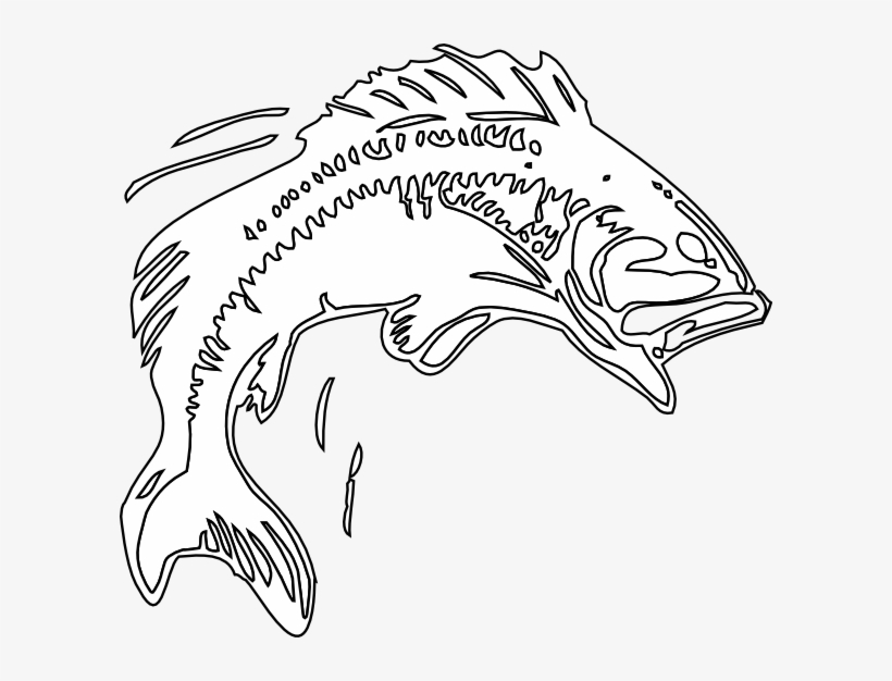 Large Mouth Bass Drawing At Getdrawings - Black And White Bass Fishing, transparent png #594132