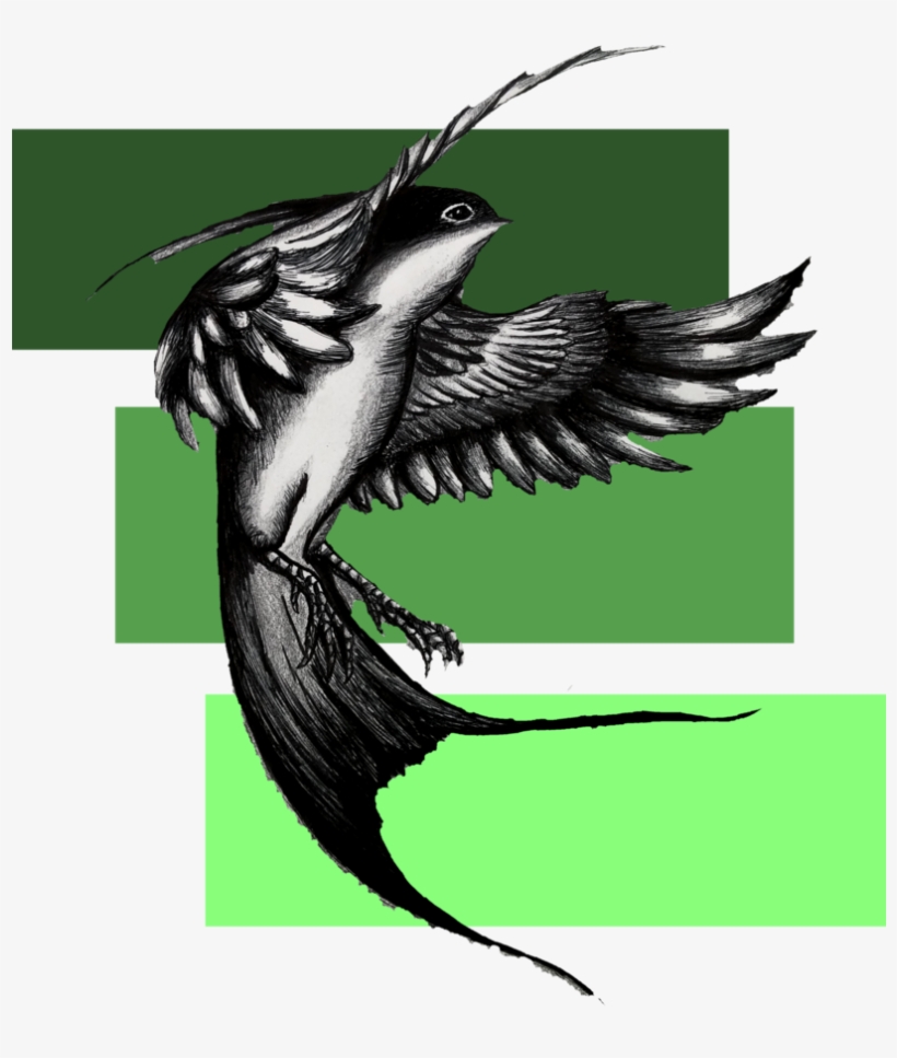 Clip Art Free Stock Huge Freebie - Drawing, transparent png #594134