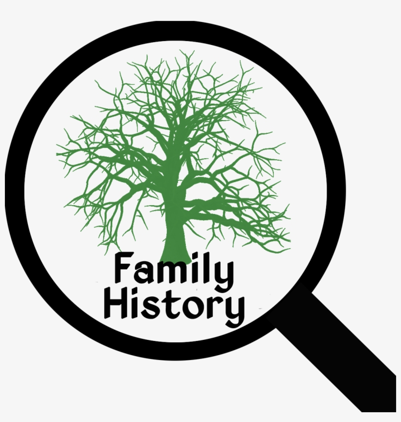 Never Assume The Following - Genealogy Icons Transparent, transparent png #595241
