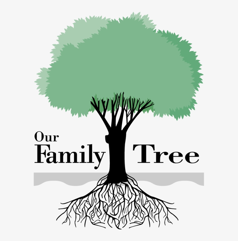 Genealogy Family Tree Clipart - Our Family Tree Clipart, transparent png #595287