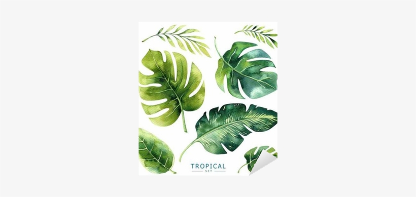 Hand Drawn Watercolor Tropical Plants Set - Jungle Plants Watercolor, transparent png #595644