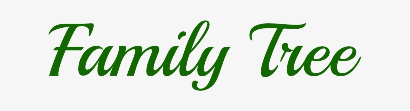 I'm Calling It My - Srm Press Bible Journaling Clear Stamps - Big Trinity, transparent png #595852