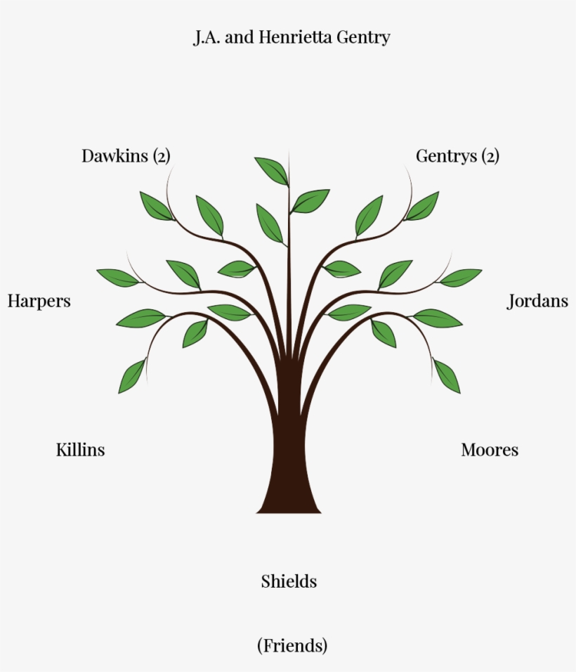 Family Tree - Tree Vector Png Free, transparent png #595921