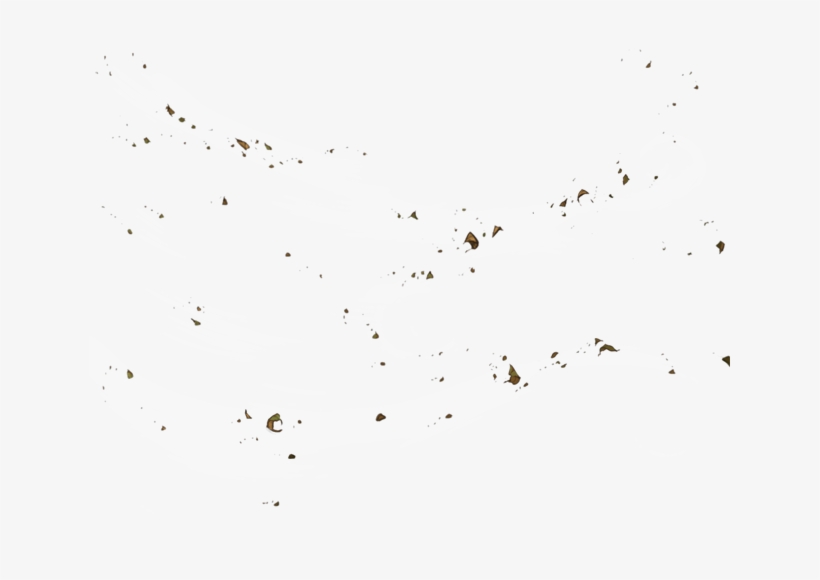 Flock, transparent png #596015