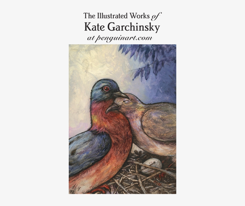 Passenger Pigeon Cuddle - Ibis, transparent png #596092