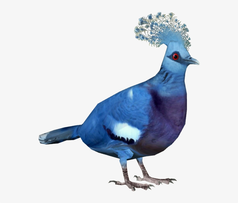 Victoria Crowned Pigeon - Victoria Crowned Pigeon Png, transparent png #596218