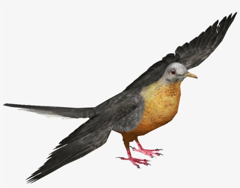Passenger Pigeon M - Ornate Fruit Dove, transparent png #596390