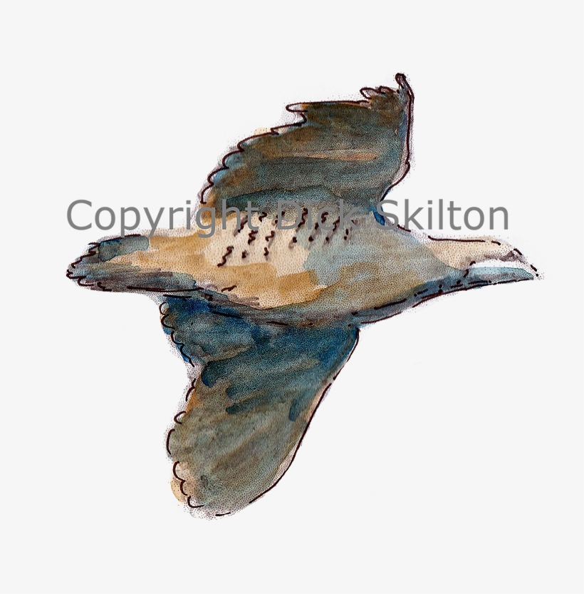 2023 By My Site Name - Humpback Whale, transparent png #596722