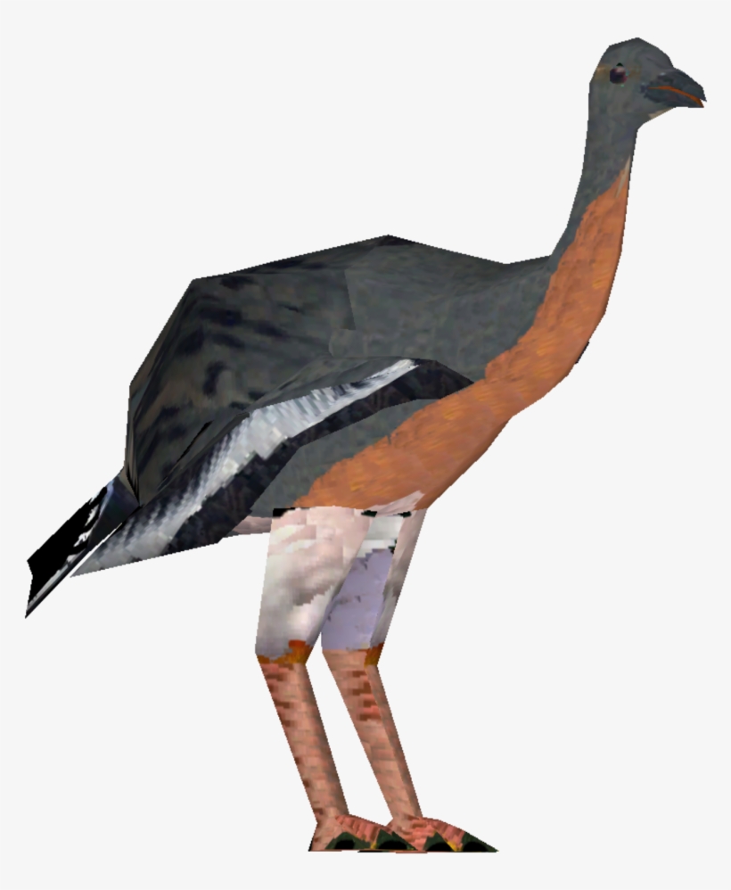 Passenger Pigeon, transparent png #596949
