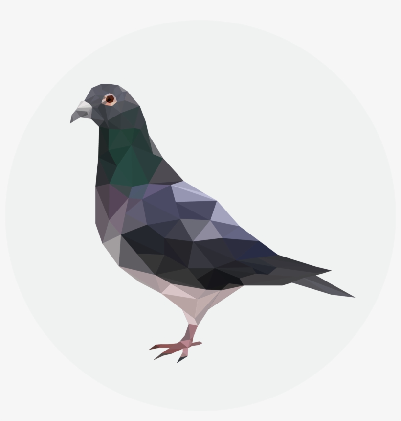 Results - Critical Role Metagaming Pigeon, transparent png #597005