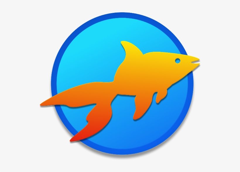 All Our Knowledge And Our Experience In Developing - Goldfish, transparent png #597049
