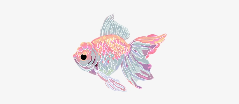 Blg Soft Grunge Png Transparentsticker - Fish Png, transparent png #597117