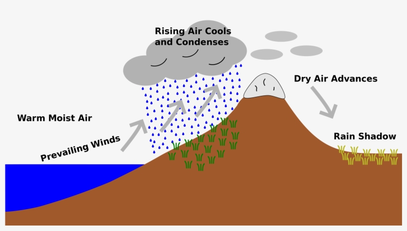 Open - Rain Shadow, transparent png #599821