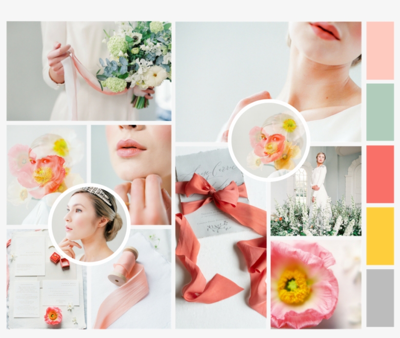 Coral Colour Palette Inspiration At Cornwell Manor, transparent png #5900704