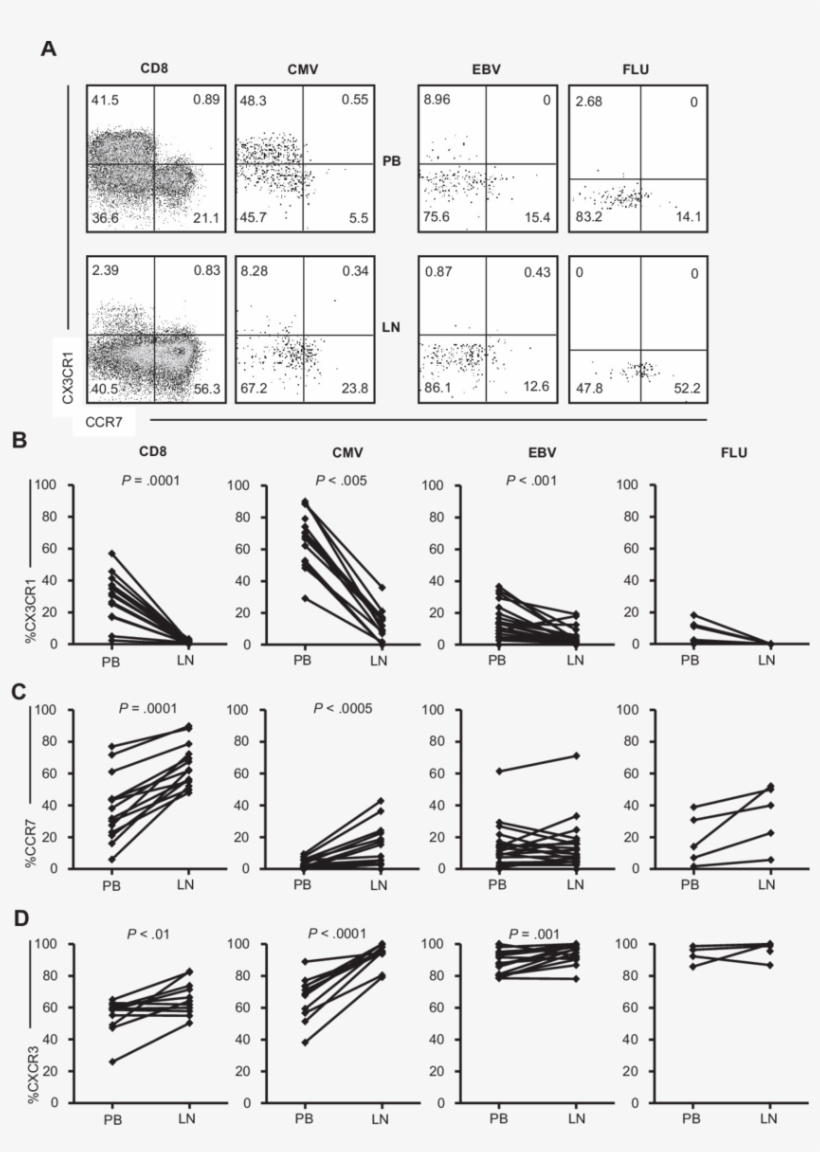Chemokine Receptor Expression On Cd8 T Cells In The, transparent png #5900827