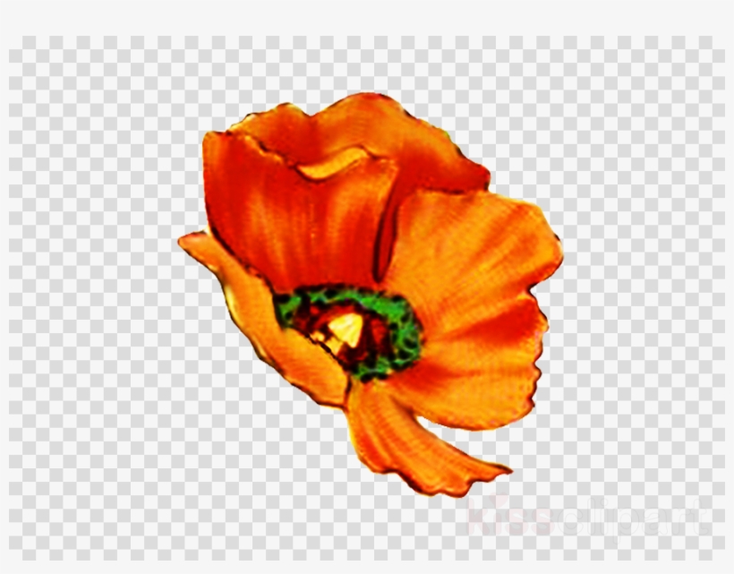 Digital Flower Png Clipart Flower Greeting & Note Cards - Digital Scrapbooking, transparent png #5901092