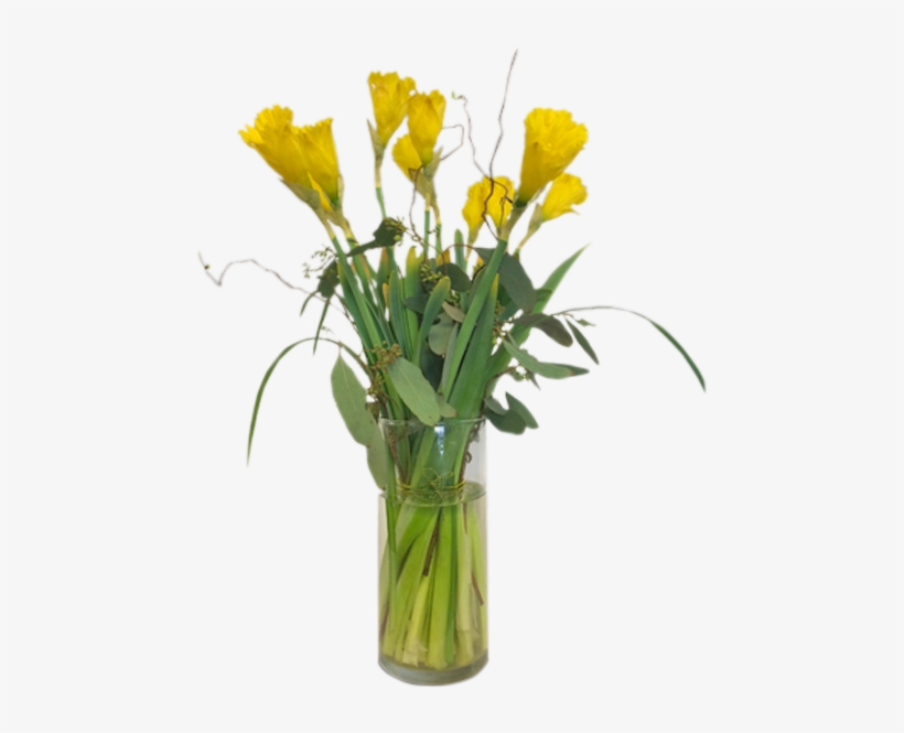 Dashing Daffodils - Vase, transparent png #5901752