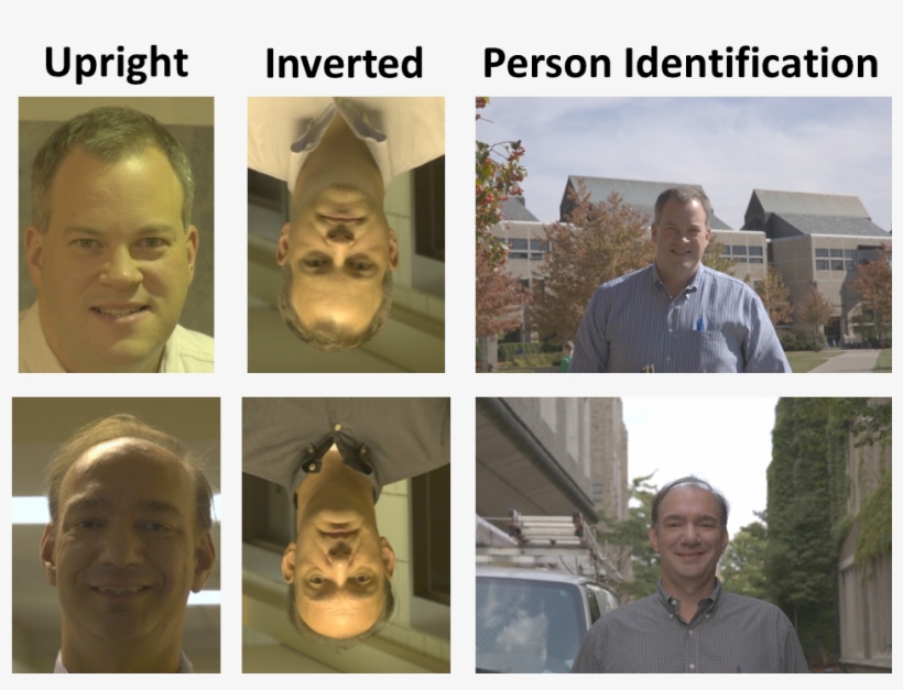 South Carolina, transparent png #5902529