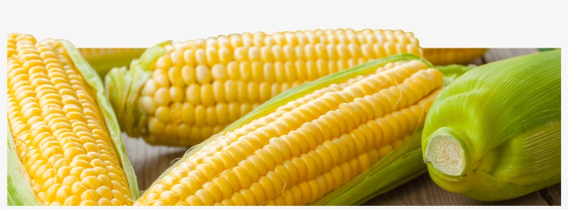 The Corn Then Goes Through A Quick Heat Treatment To - Table, transparent png #5903046