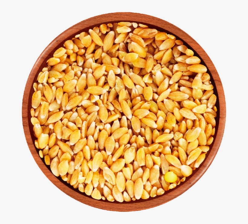 Wheat - Einkorn Seeds, transparent png #5903279