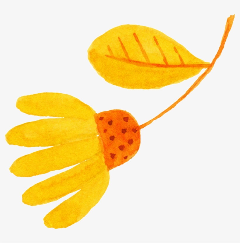 Orange Yellow Flower Bud Cartoon Transparent - Empyrean Sketchbook: Sketchbook For All : Large 8 X, transparent png #5904276