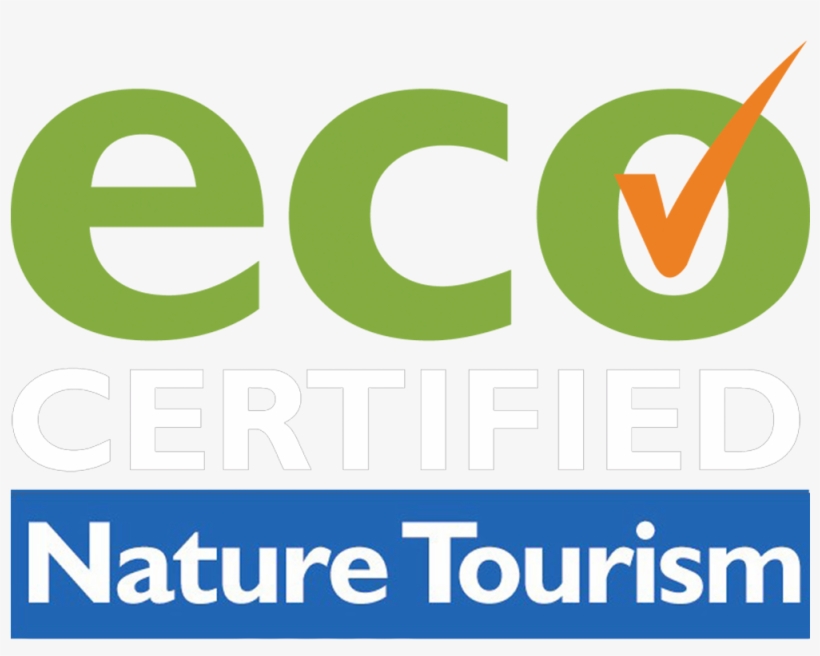 Australian Age Of Dinosaurs Ltd - Eco Certified Nature Tourism, transparent png #5905269