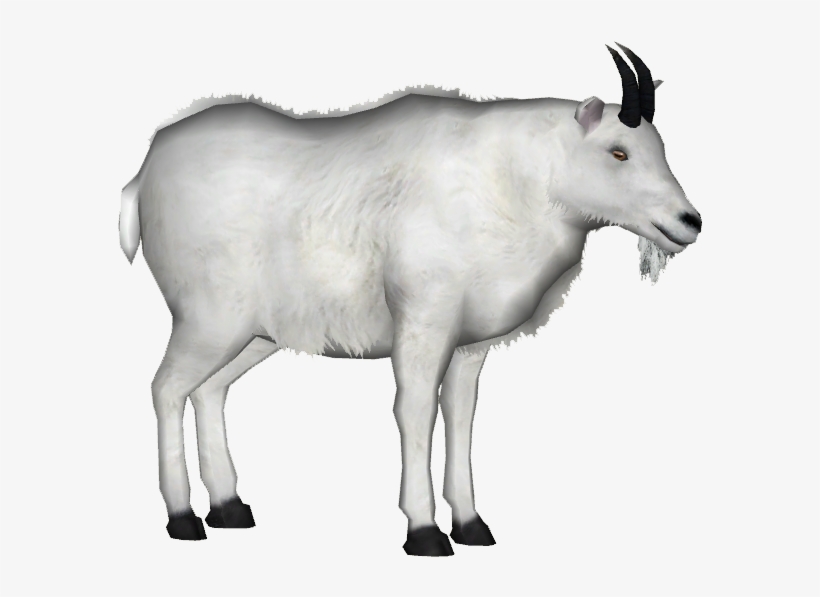 Mountain Goat 3 - Mountain Goat Png, transparent png #5905691