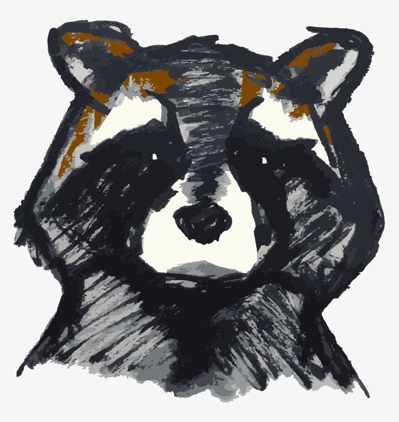 Vndjpfr0tvchxh4q0lnn Raccoon - Illustration, transparent png #5906819