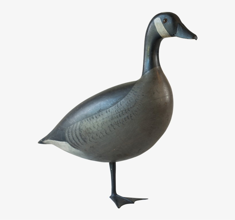 One Legged Canada Goose Decoy By Charles Schoenheider - 1 Legged Bird Png, transparent png #5907605