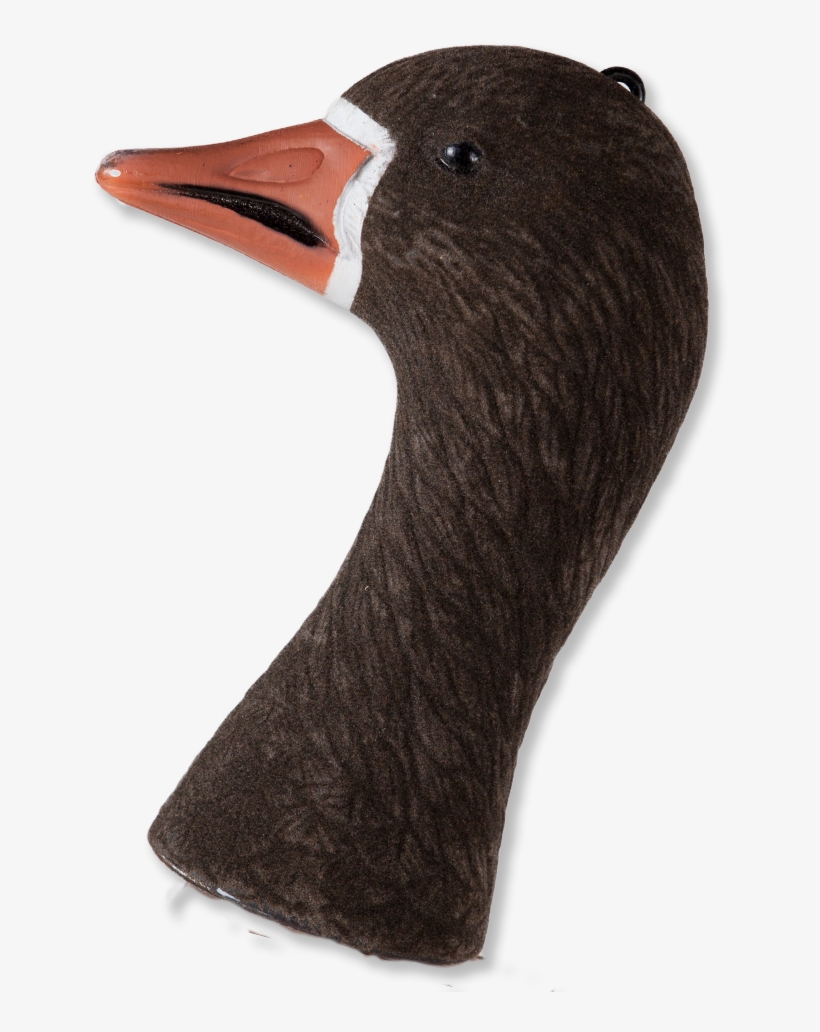1 - 399,00 Dkk - Duck, transparent png #5907658