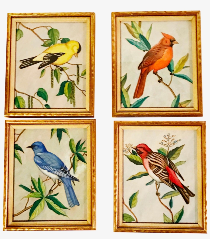 Vintage Original Paintings Of Birds In Gold Frames - Jay, transparent png #5909278