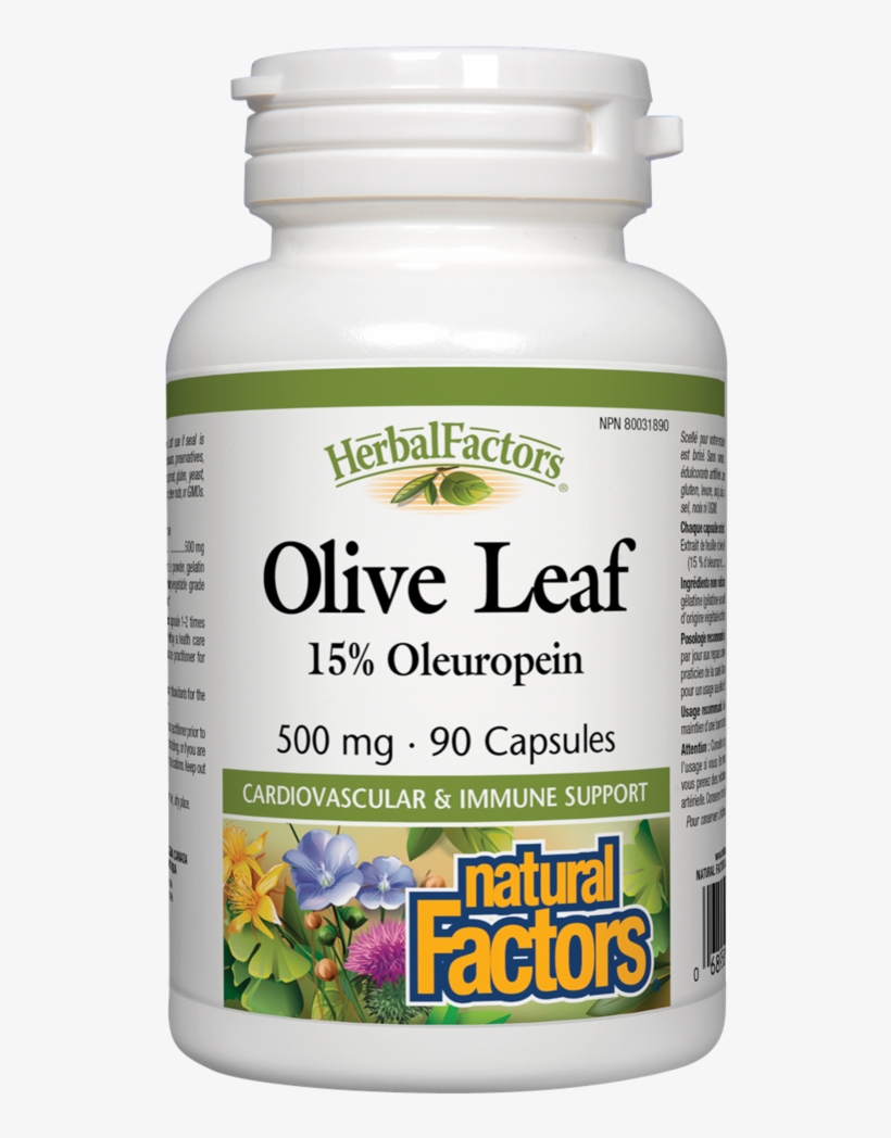 Natural Factors Herbal Factors Olive Leaf 90caps - Natural Factors Ginkgo Biloba, transparent png #5910002