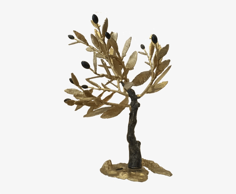 Bronze Olive Tree - Magnolia, transparent png #5910259